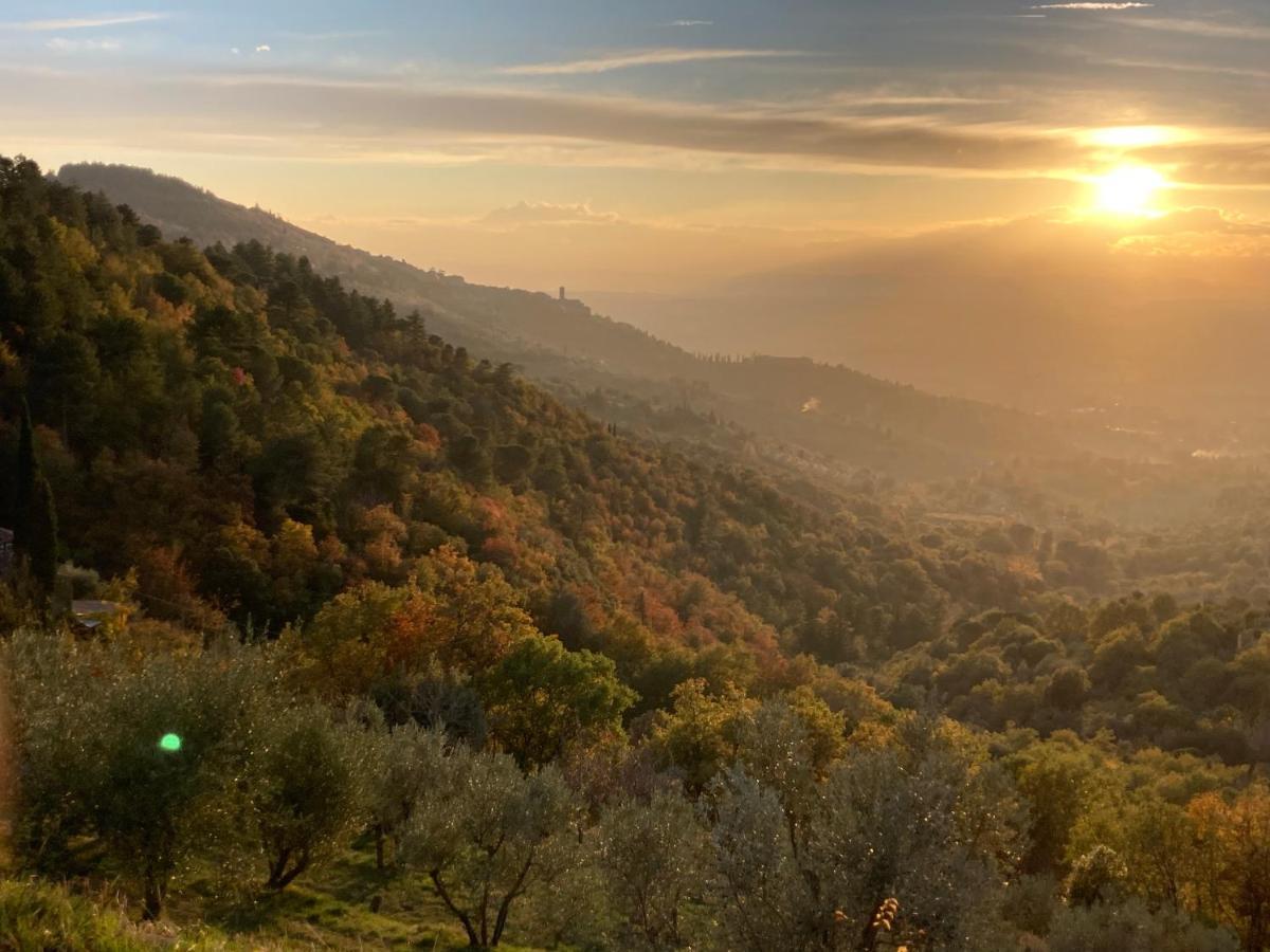 Cortona'S Rooftop Nest Bagian luar foto
